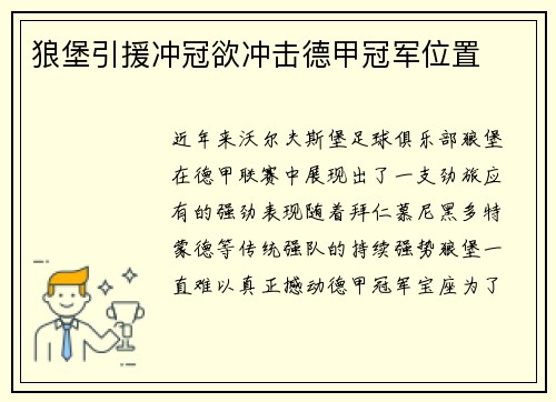 狼堡引援冲冠欲冲击德甲冠军位置
